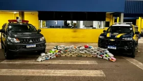 PRF apreende 68 kg de skunk em caminhão na BR-364 em Pimenta Bueno