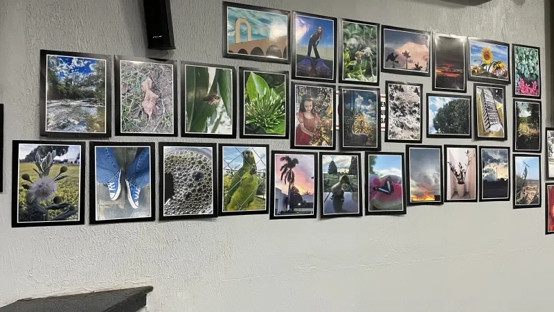 Foto 4 da matéria: Rolim de Moura - Curso de Fotografia promovido pela Escola do Legislativo é concluído com êxito na Câmara Municipal