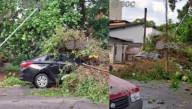 Temporal em Porto Velho: Ventos fortes deixam rastro de destruição, árvores...