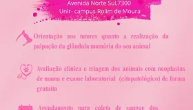 Unir – Campus de Rolim de Moura promove II Outubro Rosa Pet com atendimentos...