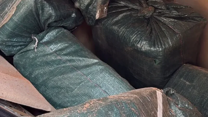 Foto 1 da matéria: Operação conjunta apreende cerca de 600 kg de drogas na região da Zona da Mata, em Rondônia