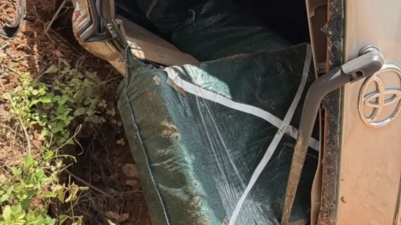Foto 2 da matéria: Operação conjunta apreende cerca de 600 kg de drogas na região da Zona da Mata, em Rondônia