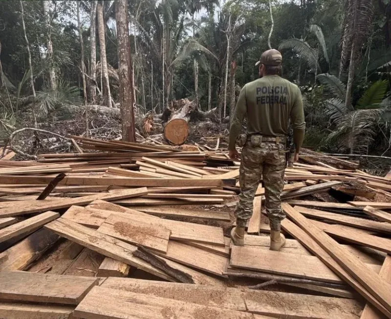 PF fecha madeireiras irregulares e apreende caminhões em nova fase da Operação Madeira Mamoré em Rondônia