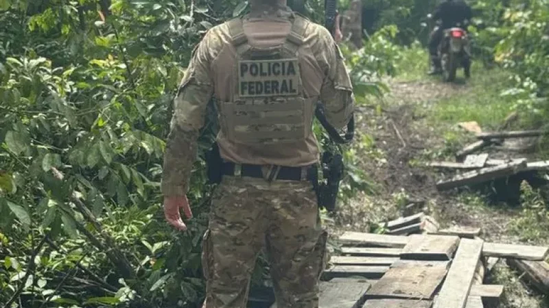 Foto 3 da matéria: PF fecha madeireiras irregulares e apreende caminhões em nova fase da Operação Madeira Mamoré em Rondônia