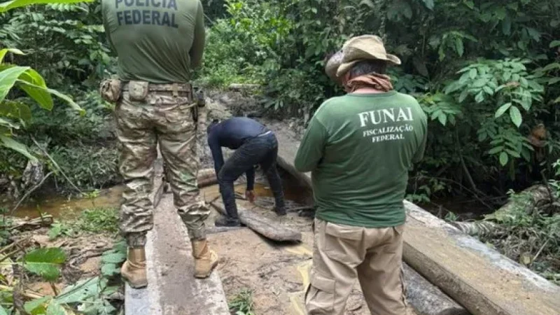 Foto 1 da matéria: PF fecha madeireiras irregulares e apreende caminhões em nova fase da Operação Madeira Mamoré em Rondônia