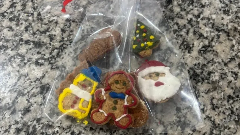 Foto 2 da matéria: Secretaria Municipal de Saúde promove terceira oficina natalina para geração de renda a pessoas acometidas pela hanseníase