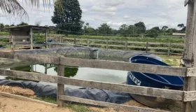 Susto: dono de propriedade encontra corpo ao esvaziar represa na zona rural de...