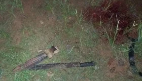 Homem de 25 anos é encontrado ferido com perfuração na cabeça na Linha 43...