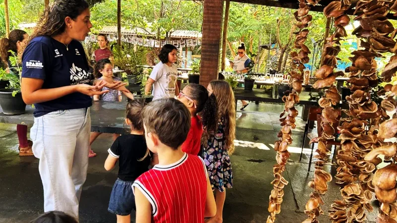 Foto 10 da matéria: Ecoporé retoma atividades do Jardim Sensorial com novidades e conexões entre crianças e a natureza