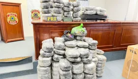 PM e PRF apreendem mais de 170 kg de maconha em veículo durante operação em...