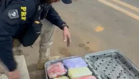 Vilhena: Passageira é flagrada com mais de 10 kg de skunk em ônibus...