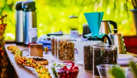 Chamamento público credencia fornecedores de Café Robusta Amazônico para...