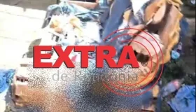 Criança de 2 anos é encontrada em situação de abandono e extrema...