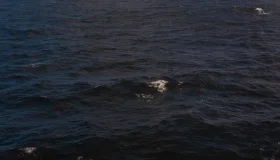 Criança é atingida por hélice de barco em balneário de Guajará-Mirim