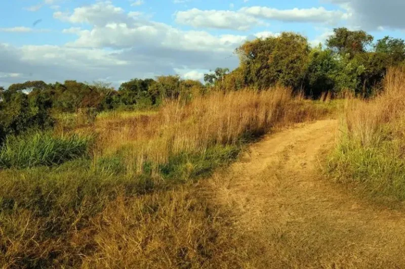 Justiça Federal reconhece fazenda de R$ 22 milhões como área pública destinada à reforma agrária em Buritis