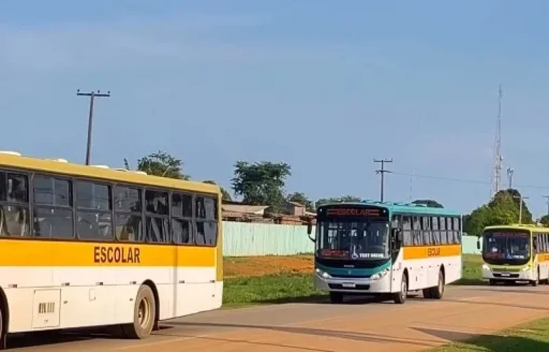 Lei municipal que previa transporte escolar gratuito para alunos da rede privada é declarada inconstitucional pelo TJRO