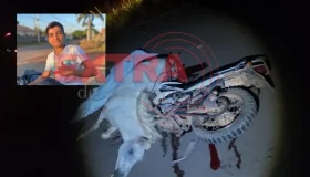 Adolescente de 16 anos morre após colidir motocicleta com cavalo na Rodovia do...