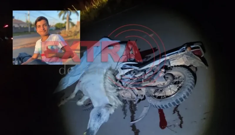 Adolescente de 16 anos morre após colidir motocicleta com cavalo na Rodovia do Boi em Corumbiara