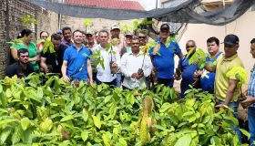 Fortalecimento da agricultura: deputado Alan Queiroz entrega 3 mil mudas de...