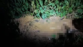 Irmãos são presos por suspeita de matar homem e enterrar em cova rasa em...