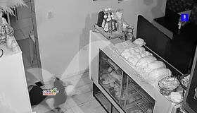 Ladrão invade padaria de madrugada e furta dinheiro e doces em Cacoal