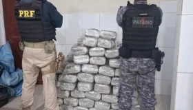 Operação conjunta entre PRF e PM intercepta veículo com 183,2 kg de droga em...