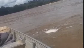 Quatro pessoas desaparecem após barco virar em Machadinho do Oeste
