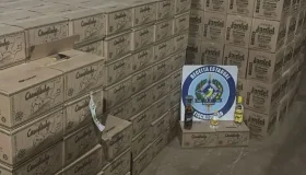 Sefin apreende bebidas sem nota fiscal escondidas em carga de cimento, em...