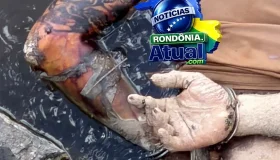 Corpo com mãos algemadas é encontrado no Rio Machado, na zona rural de...