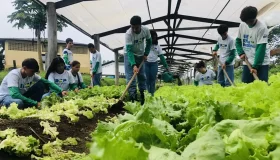 Educação profissional apresenta investimentos em cursos técnicos do agro...