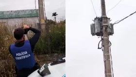 Empresa de leite é suspeita de furtar energia suficiente para abastecer 100...
