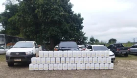 Operação integrada apreende 50 galões de defensivos agrícolas irregulares...