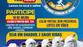 ASSDACO altera data da 11ª edição do LeiloShow e confirma evento para 18 de...