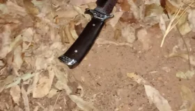 Homem é assassinado a facadas em bar no bairro centenário