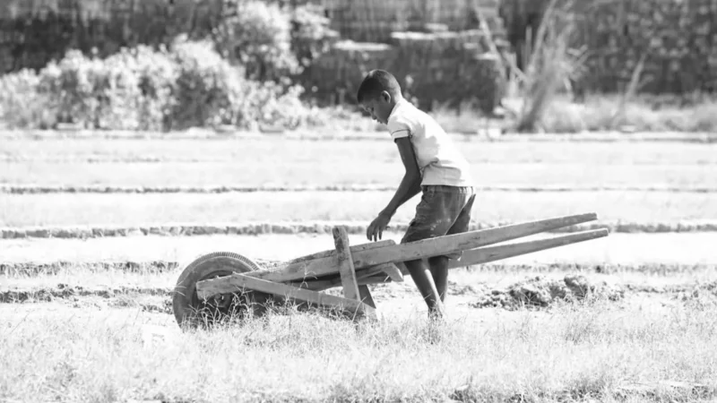 Justiça obriga fazenda a custear tratamento de adolescente ferido em trabalho...