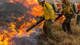 Governo repassa R$ 337 milhões para combate a incêndios e desmatamento