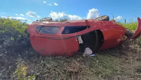 Carro capota na BR-429 após colisão com animal na pista; ocupantes são...