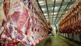 Carne bovina supera soja e lidera exportações de Rondônia em maio