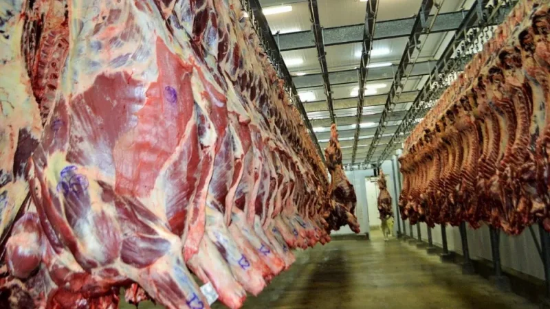 Carne bovina supera soja e lidera exportações de Rondônia em maio