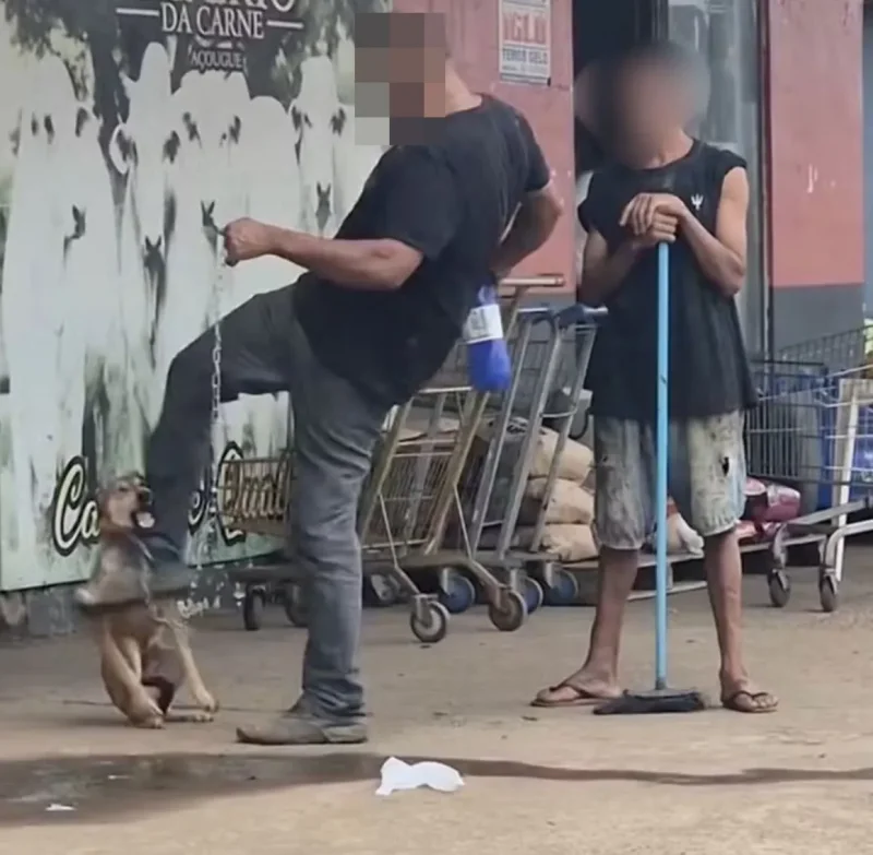 Homem é preso após ser filmado agredindo cachorro 'caramelo' em Porto Velho