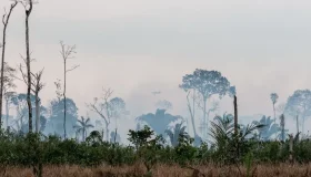 Ibama inicia operação para prevenir incêndios florestais na Amazônia