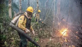 Inscrições para contratação de 270 brigadistas para o Corpo de Bombeiros...