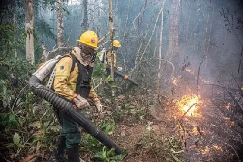 Inscrições para contratação de 270 brigadistas para o Corpo de Bombeiros terminam nesta terça-feira