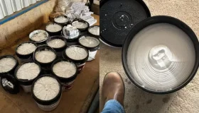 Justiça de Rondônia condena homem transportar cocaína escondida em baldes de...