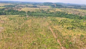 MP-RO pede R$ 90 milhões por desmatamento na Amazônia