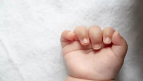 Mulher é detida após fugir com bebê recém-nascido e agredir policial em...