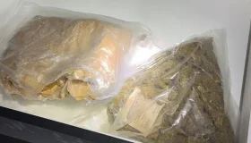 Operação da PF em Rondônia mira esquema de tráfico de drogas por encomendas...