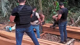 Polícia Civil prende dois homens por exploração ilegal de madeira em Nova...
