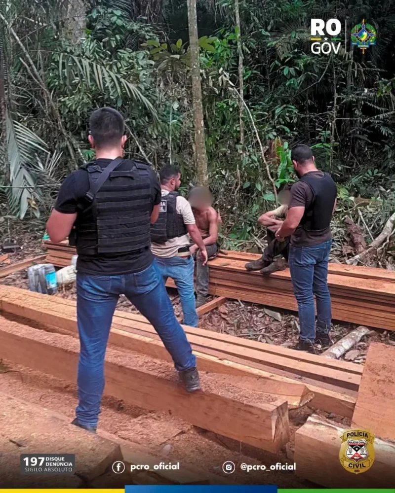 Polícia Civil prende dois homens por exploração ilegal de madeira em Nova Mamoré