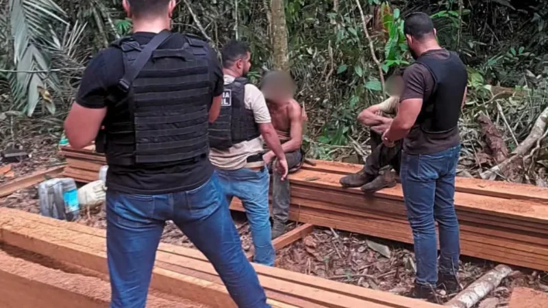 Polícia Civil prende dois homens por exploração ilegal de madeira em Nova...